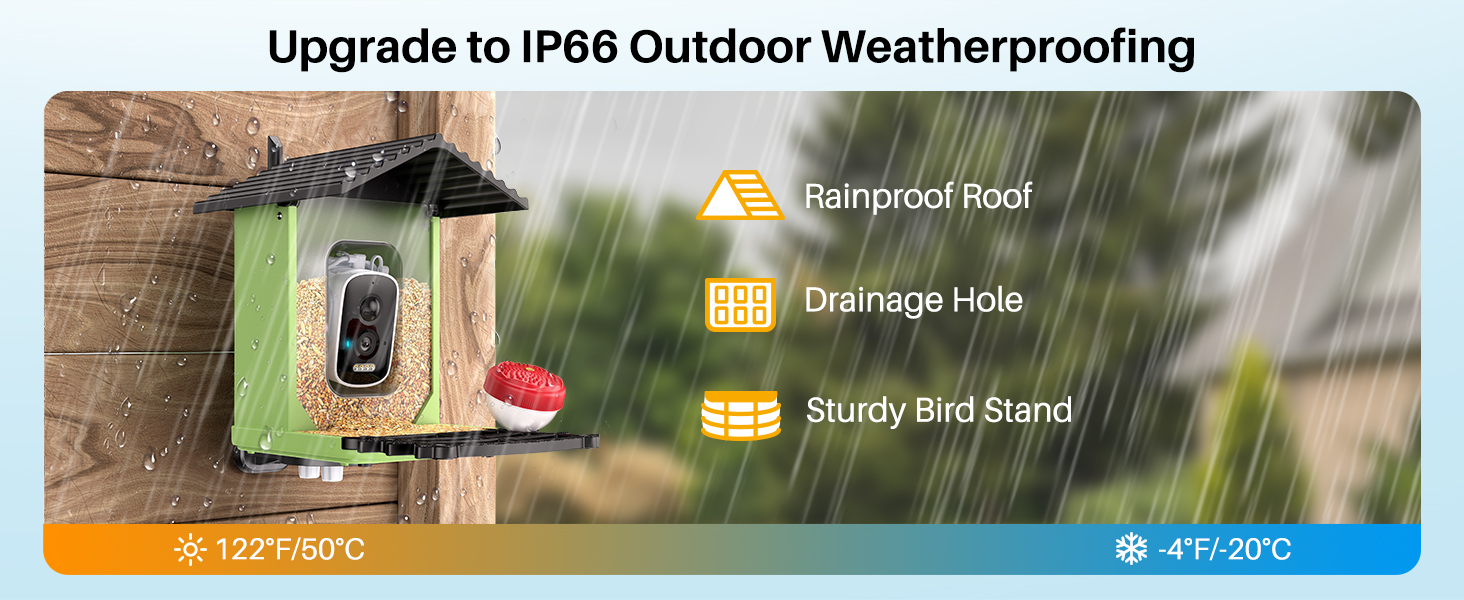 camera bird feeders for outside