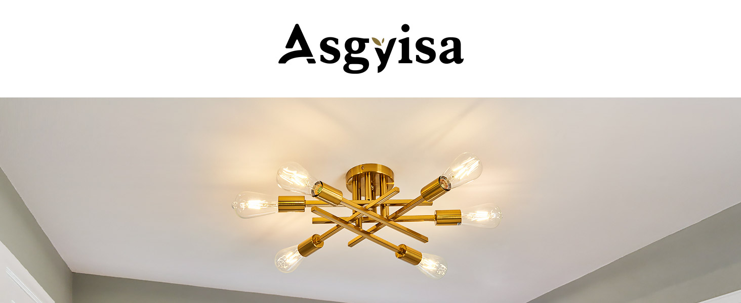 Ceiling Light
