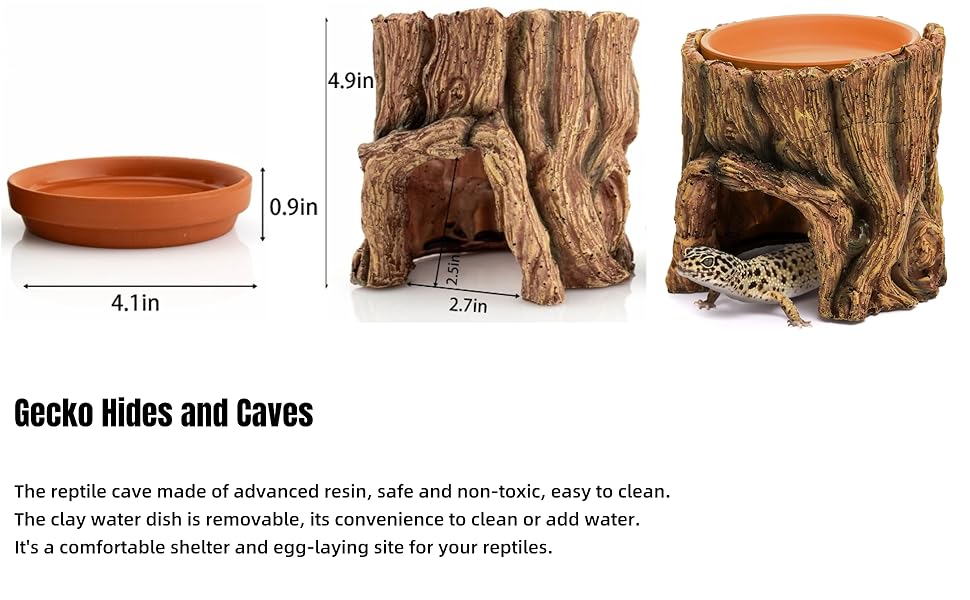 gecko tank accessories