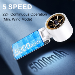 5 speed