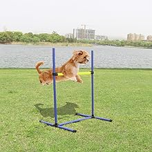 adjustable High Jumps