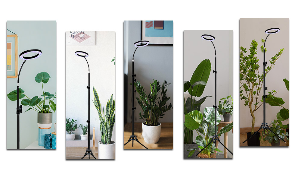 GROW LIGHT