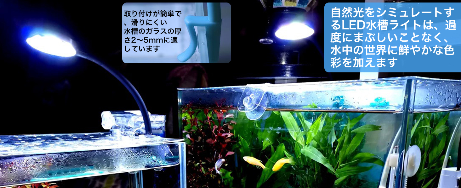 小さな水槽のクリップライト