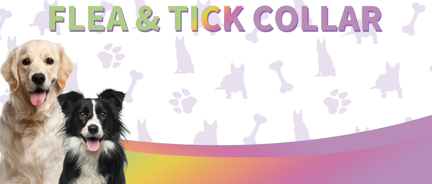 4 Pack Flea Collar for Dogs, Dog Flea and Tick Collar 8