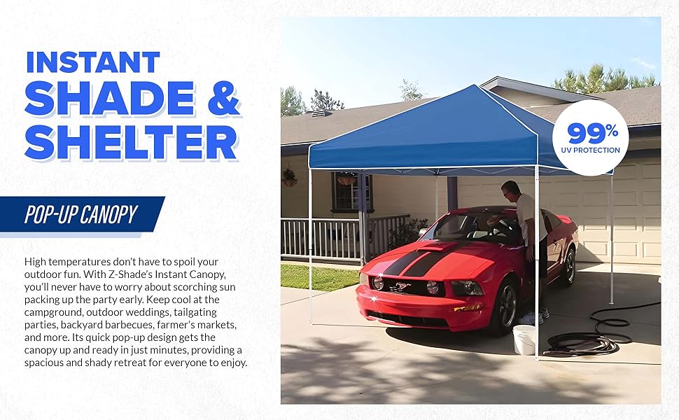 ZShade 10 x 10 Foot Everest Instant Canopy Outdoor