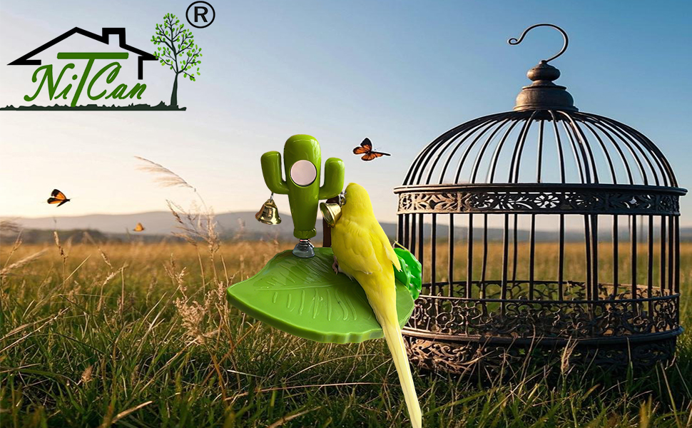 bird training platform, entertainment stand with mirror bell, bird love green color puzzle toys