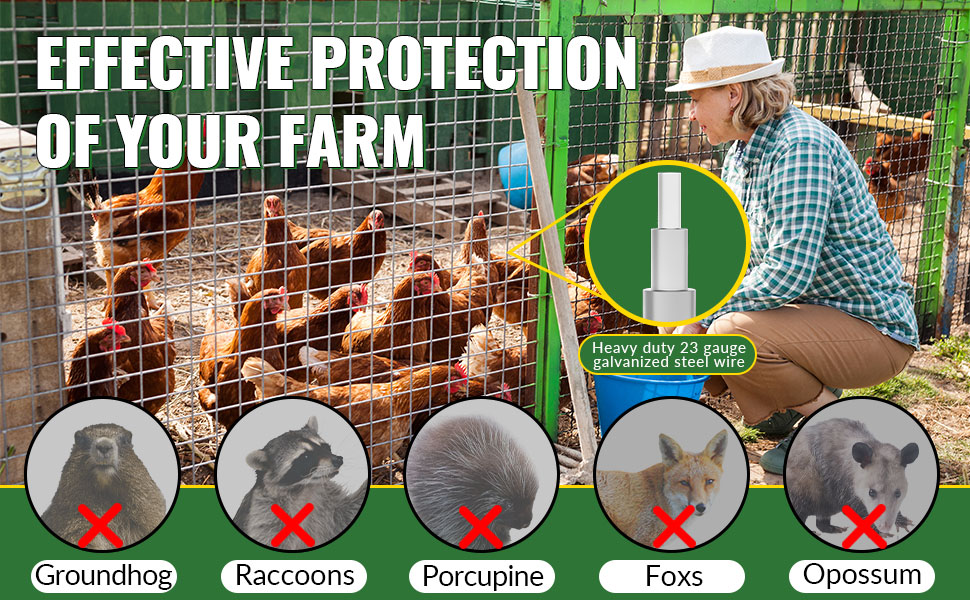 48inx100ft 1/4 in 23Gauge Hardware Cloth Galvanized After Welded Cage