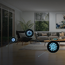 Cleaner Home