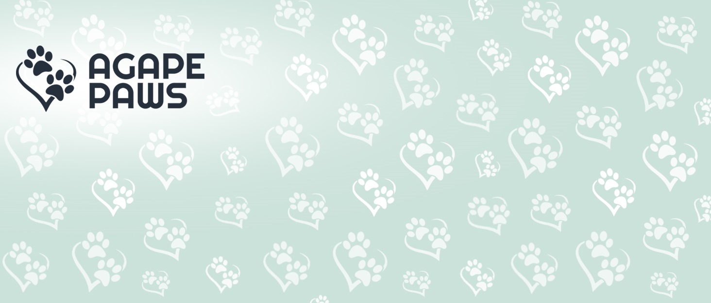 Pet Carrier Airline Approved