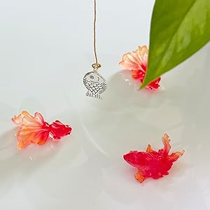 koi fish tank small
