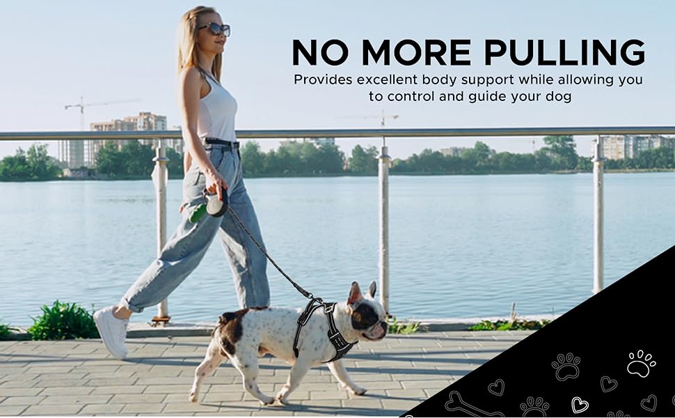 Pet Central Dog Harness for Small Dog