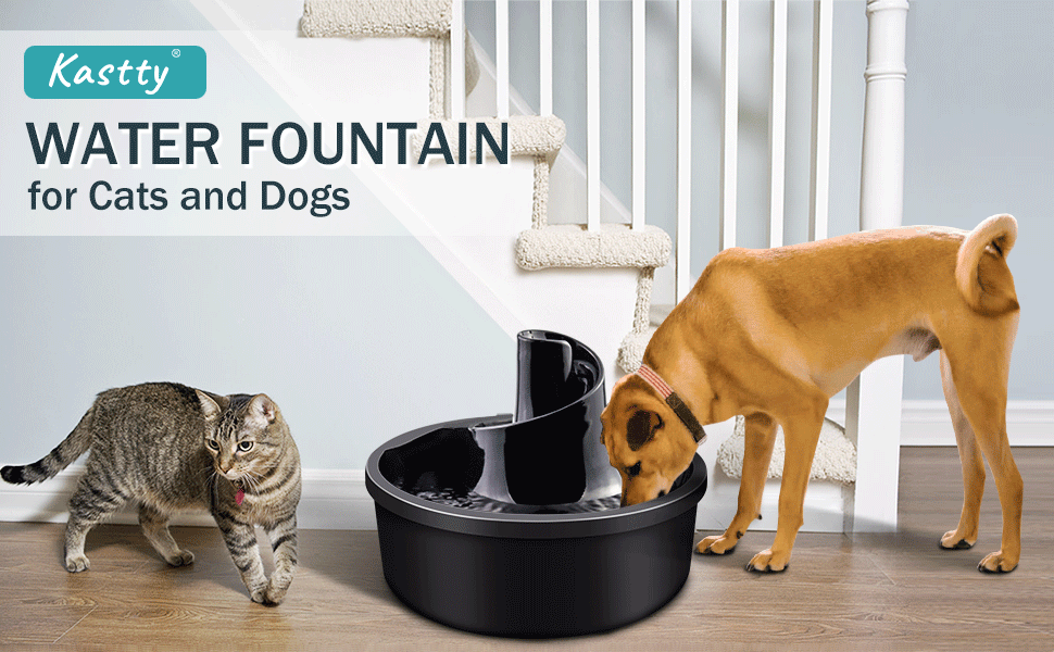 Pet Water Fountain, 1.2 Gallon Large Dog Water Fountain
