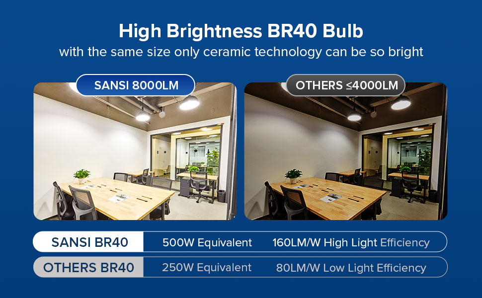 High Brightness BR40 Bulb