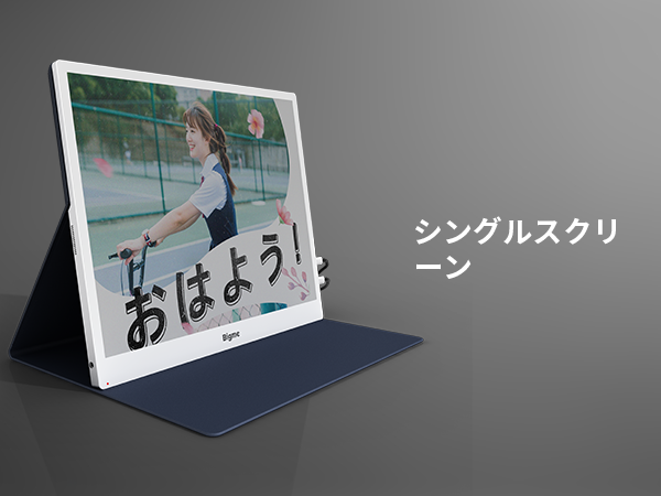 Amazon.co.jp: Bigme B13 カラーエーパーモニター 13.3インチ、タイプC