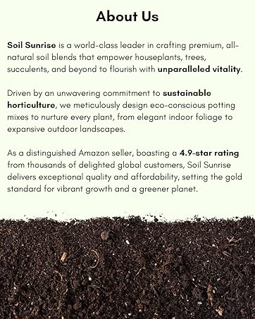 soil sunrise about us brand story