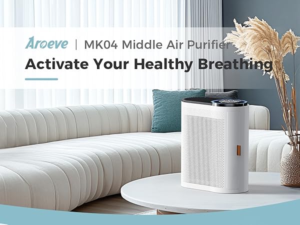 air purifiers for home large room