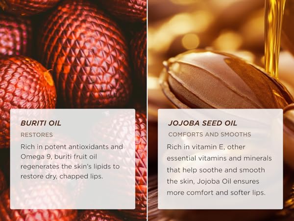 Ingredients of the Gisou Honey Infused Lip Oil