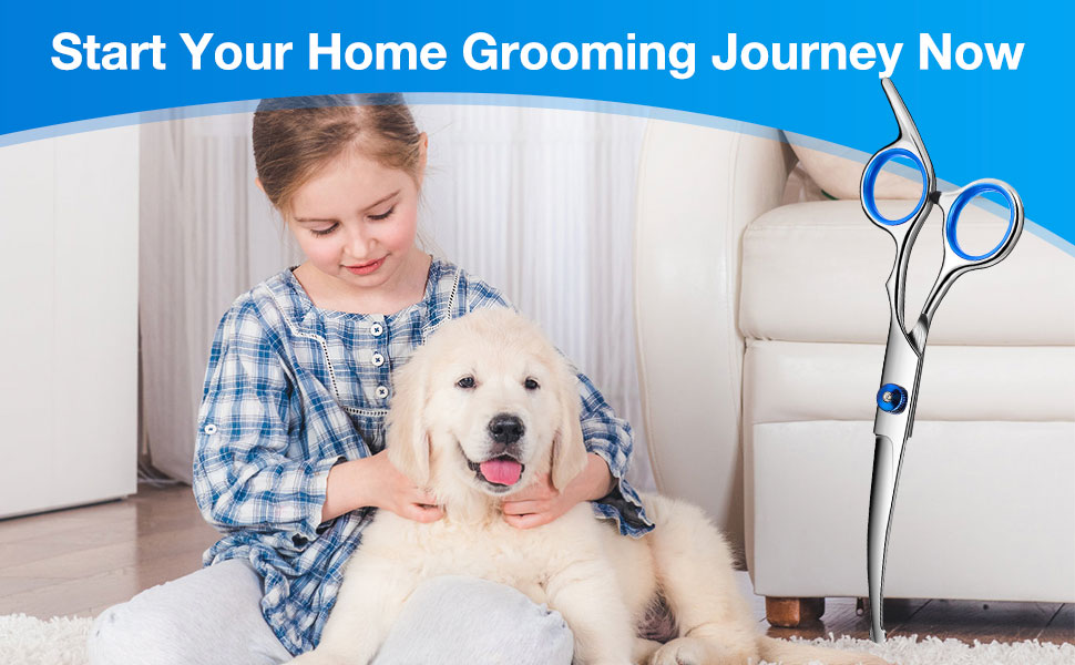 Dog Grooming Scissors 