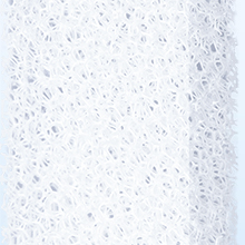 Foam Filter -- catches hair & debris & protect the pump