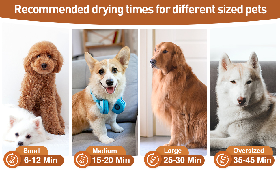 dog blow dryer