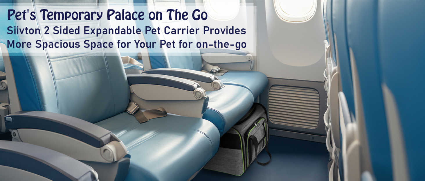 siivton pet carrier