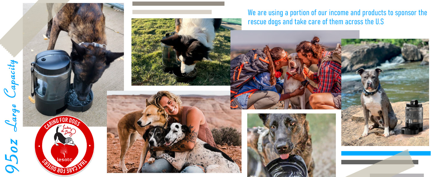 dog water bowl dispenser portable