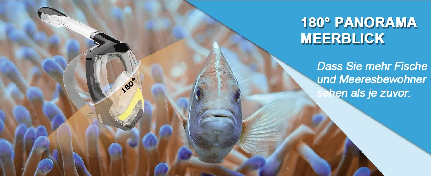 Flyboo Diving Mask, Snorkel Mask, Full Mask, 180 Degree Vision Diving