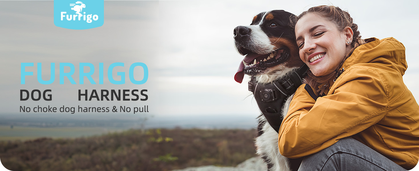 airtag dog harness integrated waterproof apple air tag holder dogs vest harnesses no-pull harness l