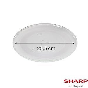 SHARP_R_242_WW_Teller