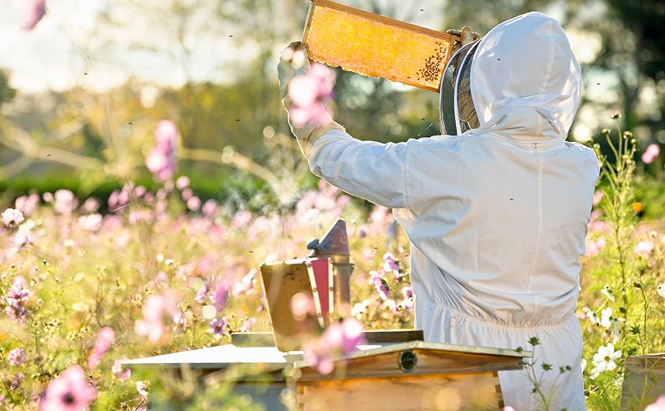 MORE PEOPLE DIE OF BEE STINGS THAN SHARK ATTACKS EVERY YEAR.