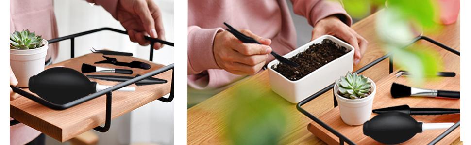 ferramentas suculentas