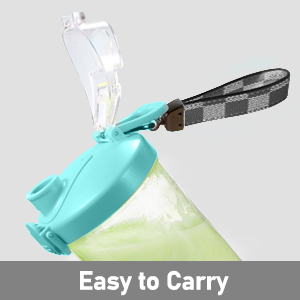 blender for shakes and smoothies