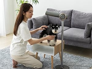 BISARA quad ブラック ヘアドライヤー 楽天市場】【BISARA公式】[マラソンクーポン] ビサラ BISARA