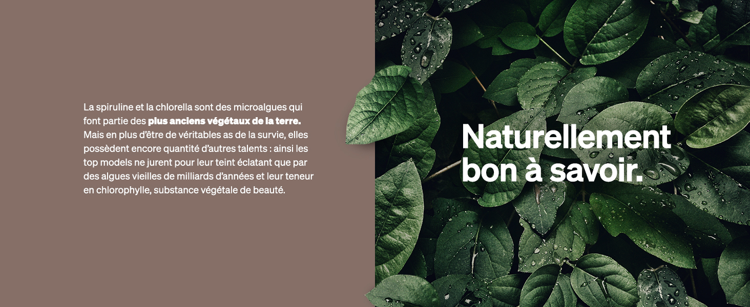 la nature de la nature - exemples de polices