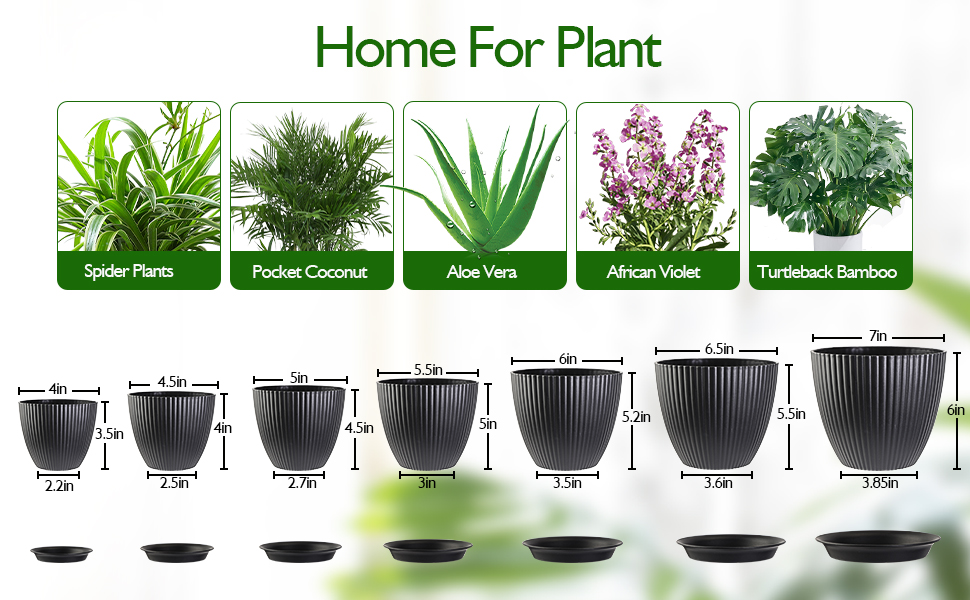 flower pots indoor