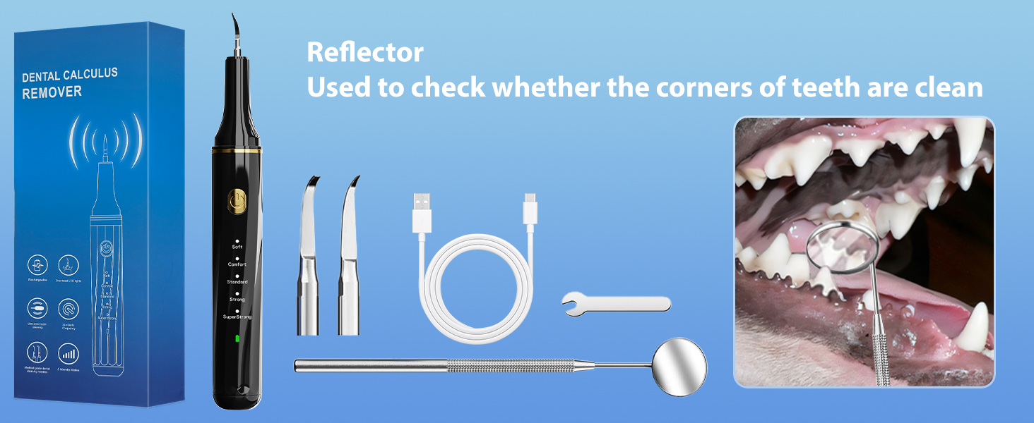tartar remover for teeth