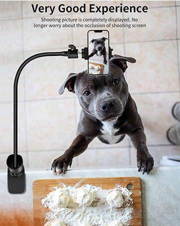 Phone Stand for Recording