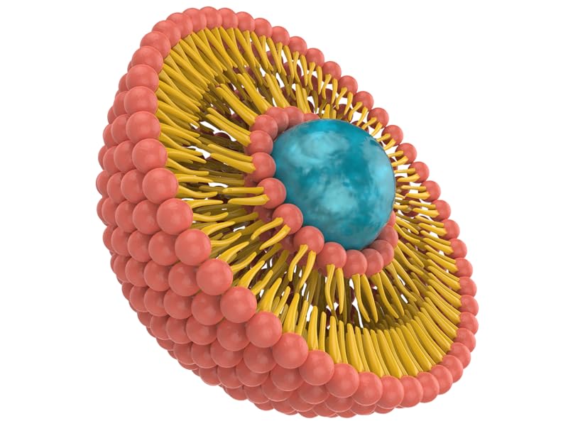 bamboo shoot natural grass fed animal type 1 2 3 hyaluronic acid hydrolyzed protein amino acids