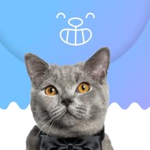 prana pets respiratory system support 