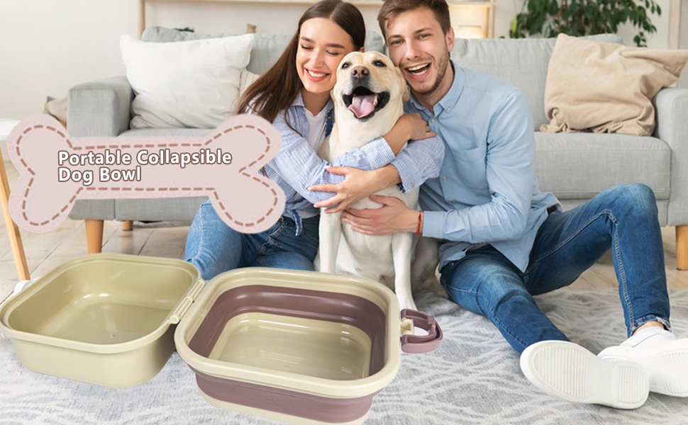 Collapsible Travel Dish