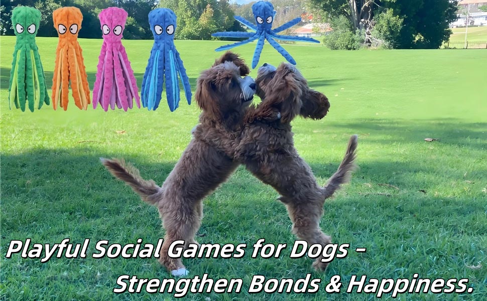 Playful Social Games for Dogs