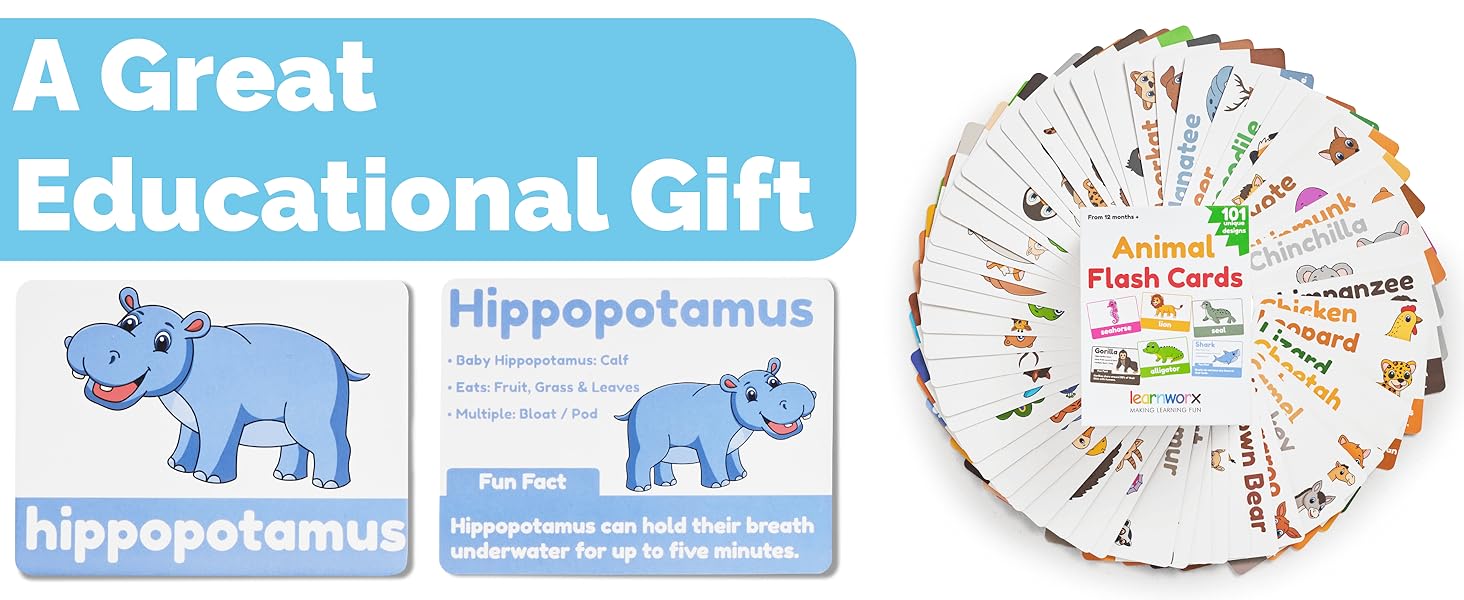 Learn with me flash cards