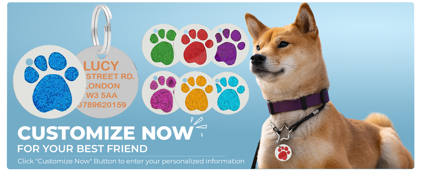 dog tag ID pat collar identity plate Customized Pet ID Tag with Split Ring 
