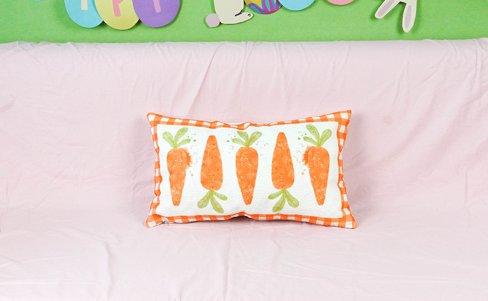 ONWAY Easter Lumbar Pillow Cover 12x20 Inch Carrots Plaid