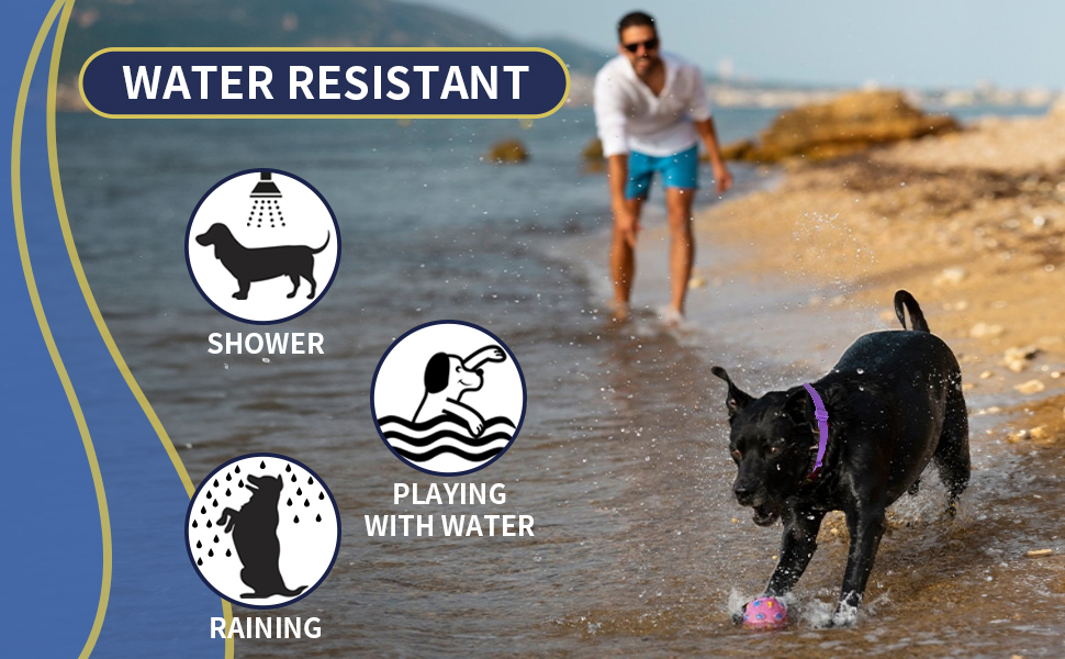 4 Pack Flea Collar for Dogs, 8 Months Flea and Tick