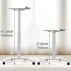 fromann desk