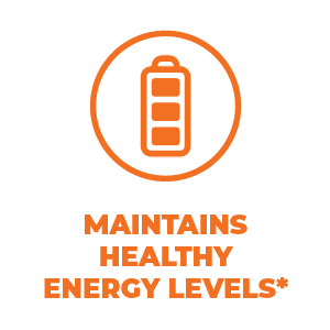 turmeric curcumin, black pepper, moringa leaves, joint support, digestion & healthy energy levels