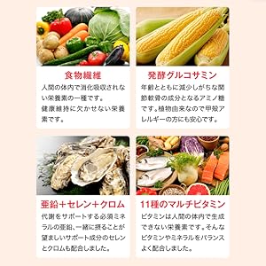 Amazon.co.jp: 燃やしま専科 ヨーグルト風味 クエン酸 サプリ 500g
