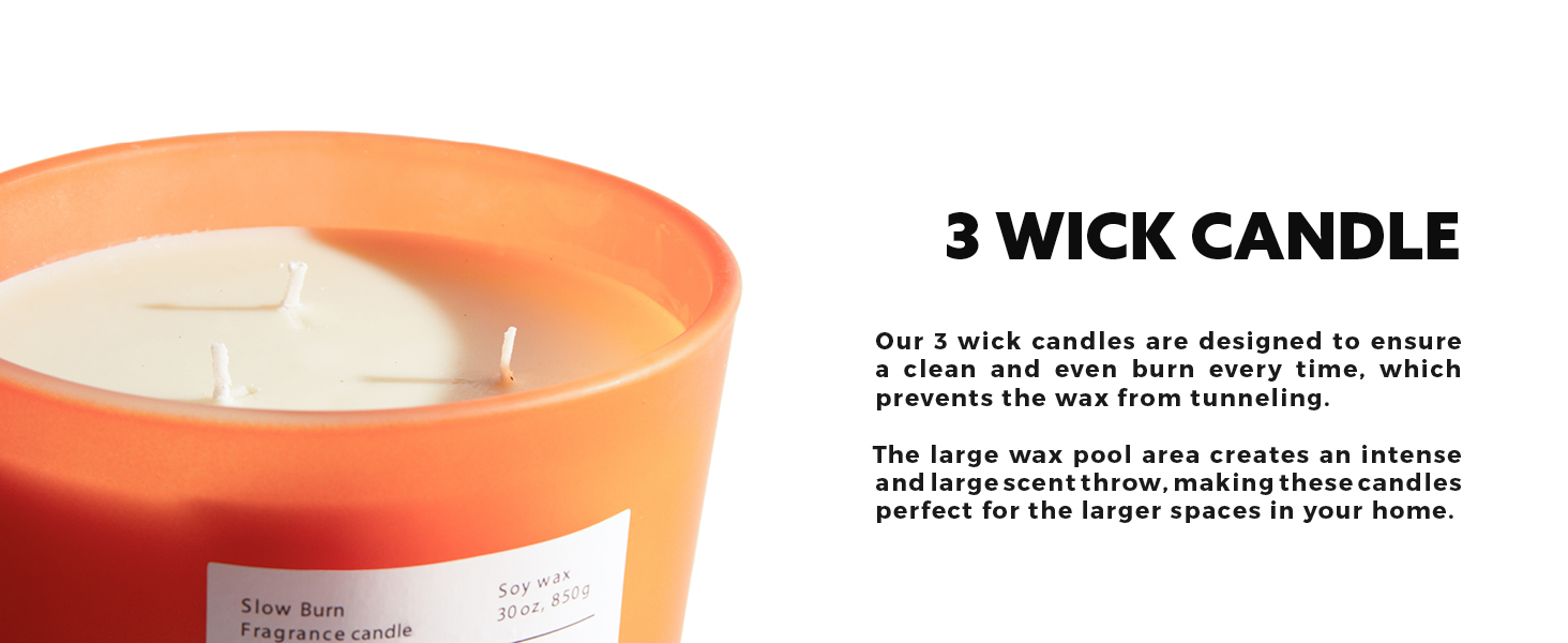 Hidden Label Large Scented Candle, Blood Orange