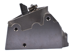 RIDEA　RD5  C88 RIDEA RD5 C88 Amazon.com : RIDEA Rear Derailleur Cage RD5